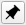 pin icon